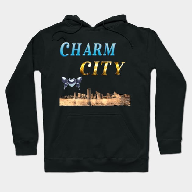 BALTIMORE CHARM CITY DESIGN Hoodie by The C.O.B. Store